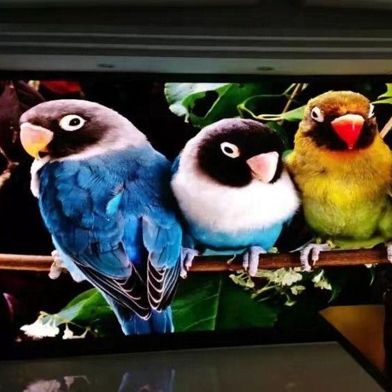 شاشة عرض الفيديو LED بالألوان الكاملة رقيقة الجدار P1.667 P1.25 داخلي RGB